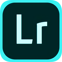 lr手机版2024最新版(Lightroom)